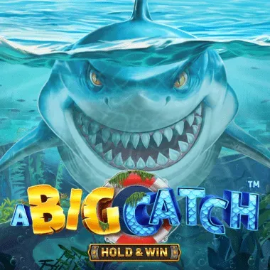 faircrown bigcatch